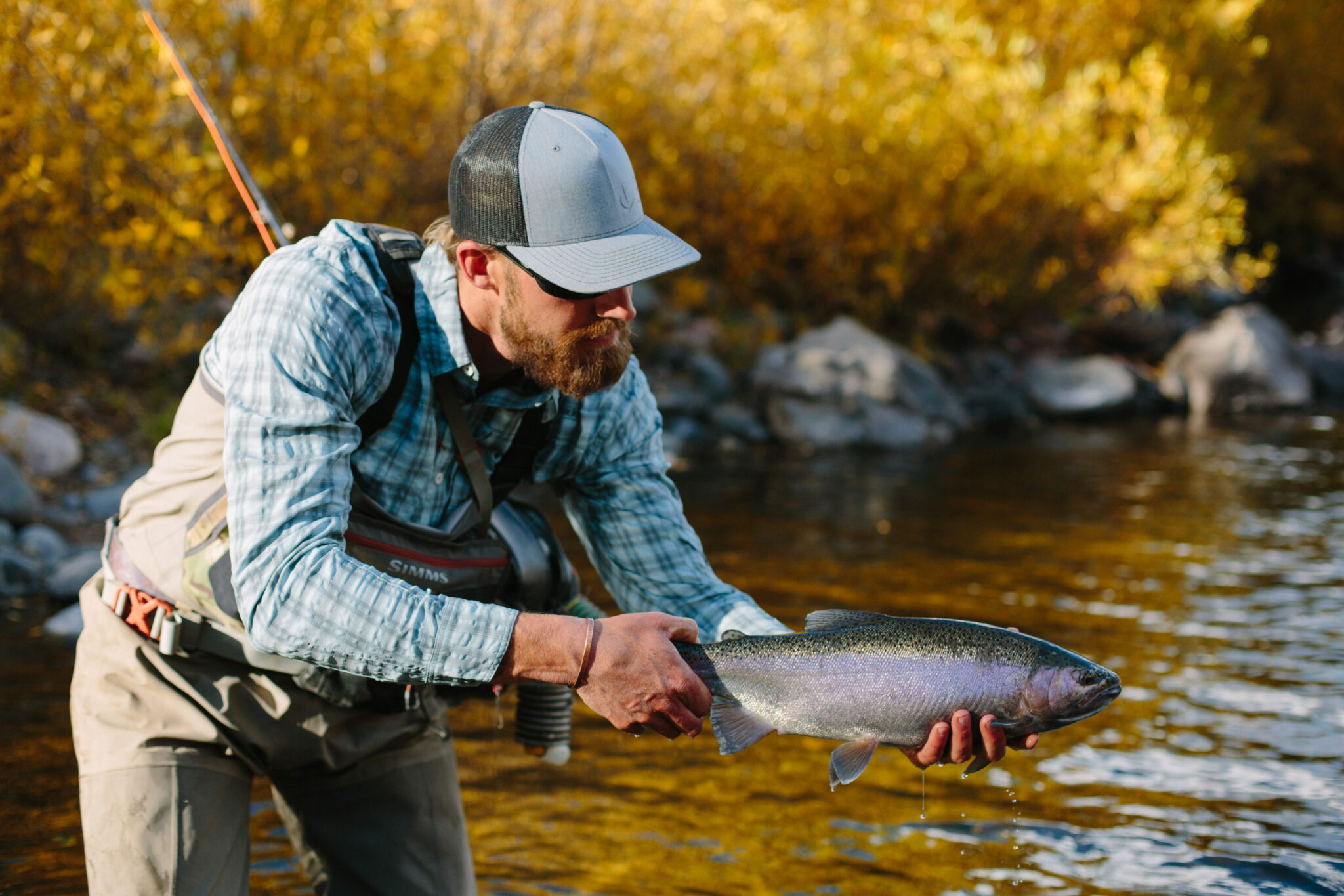 Best Trout Fishing in Colorado - Three Forks Ranch Blog